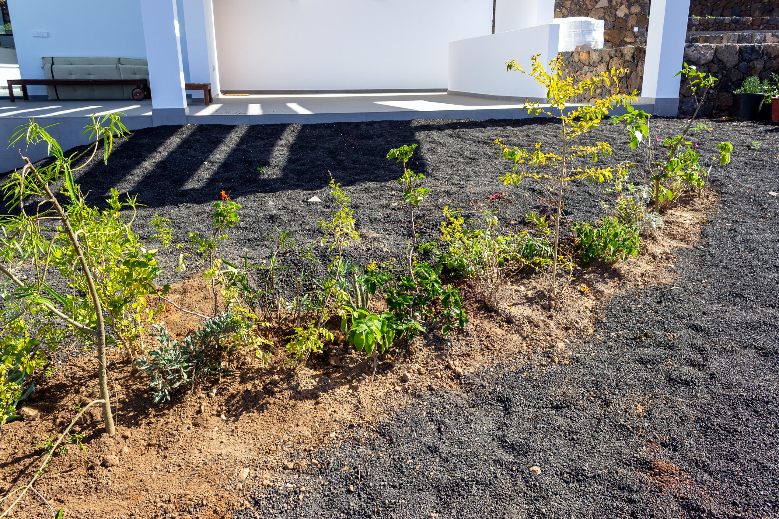 2022 11 LasBrenas 1. November der Garten 015