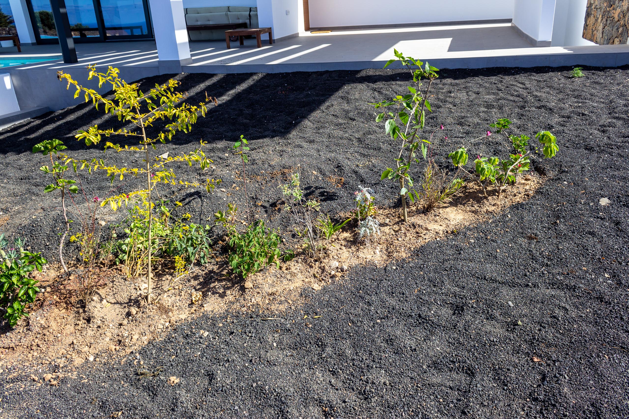 2022 11 LasBrenas 1. November der Garten 016