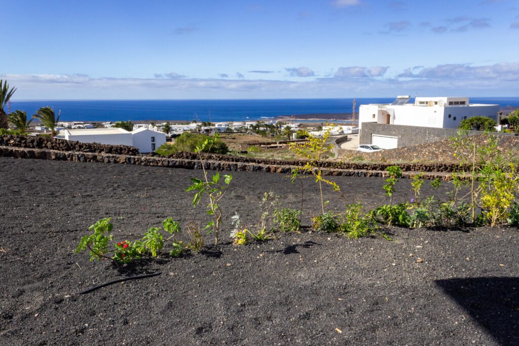 2022 11 LasBrenas 2. November der Garten 001