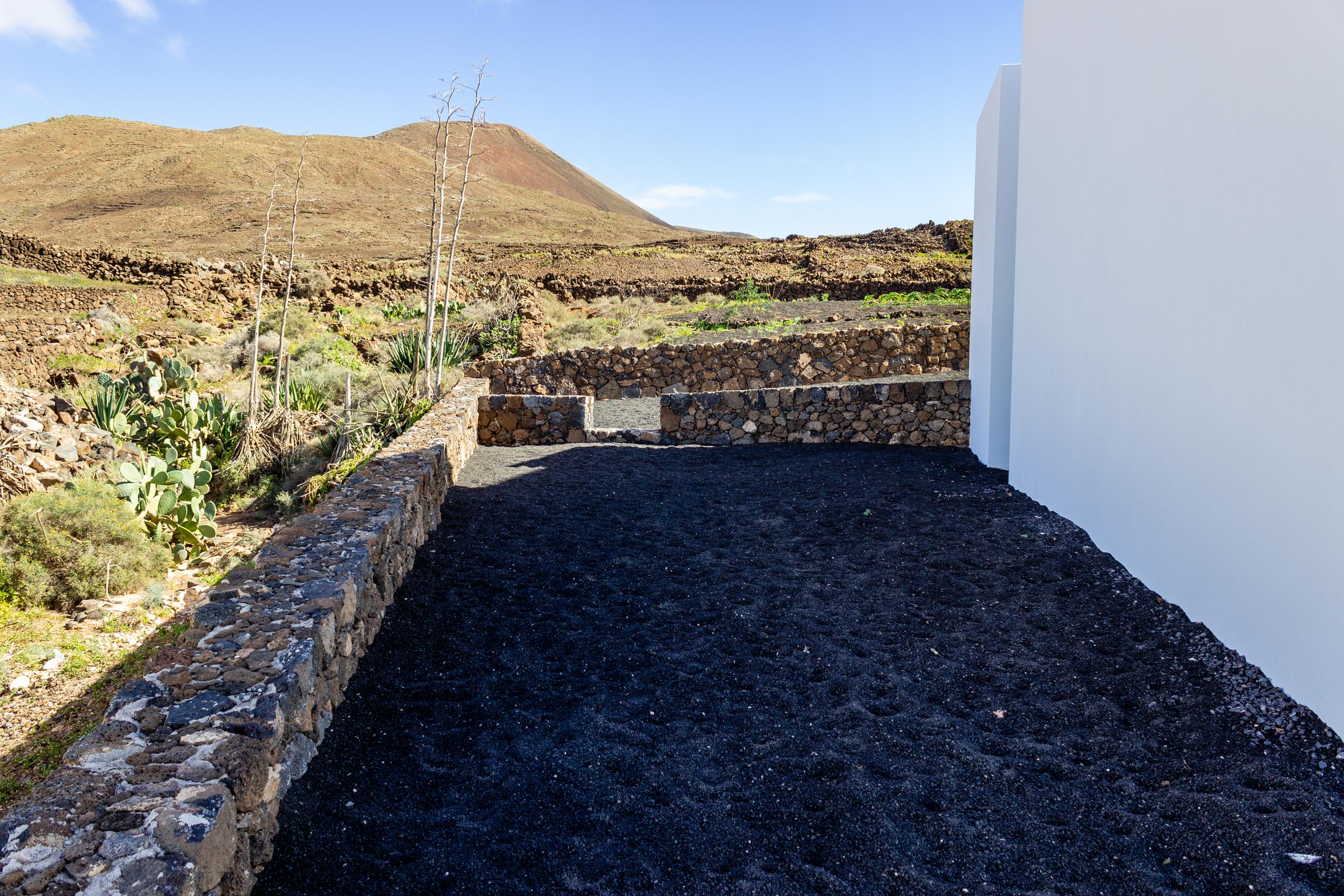 2022 11 LasBrenas 2 de noviembre el jardín 007