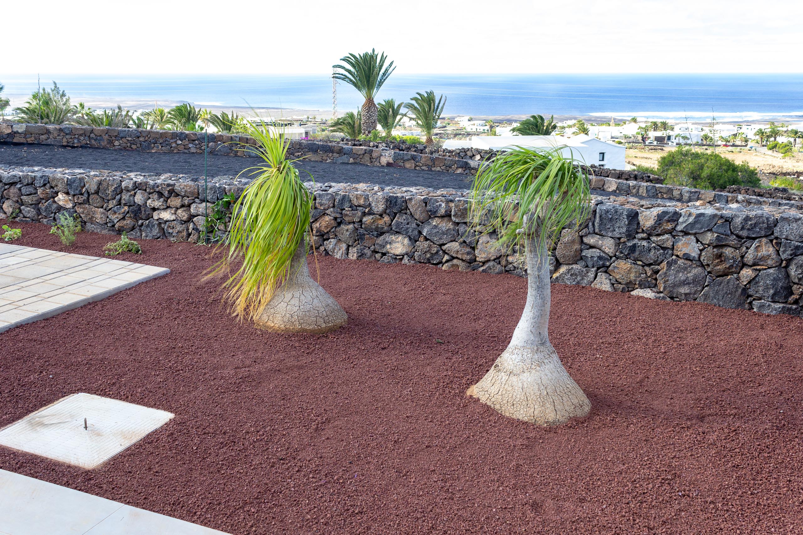 2022 12 LasBrenas 1 de diciembre el jardín 006 1