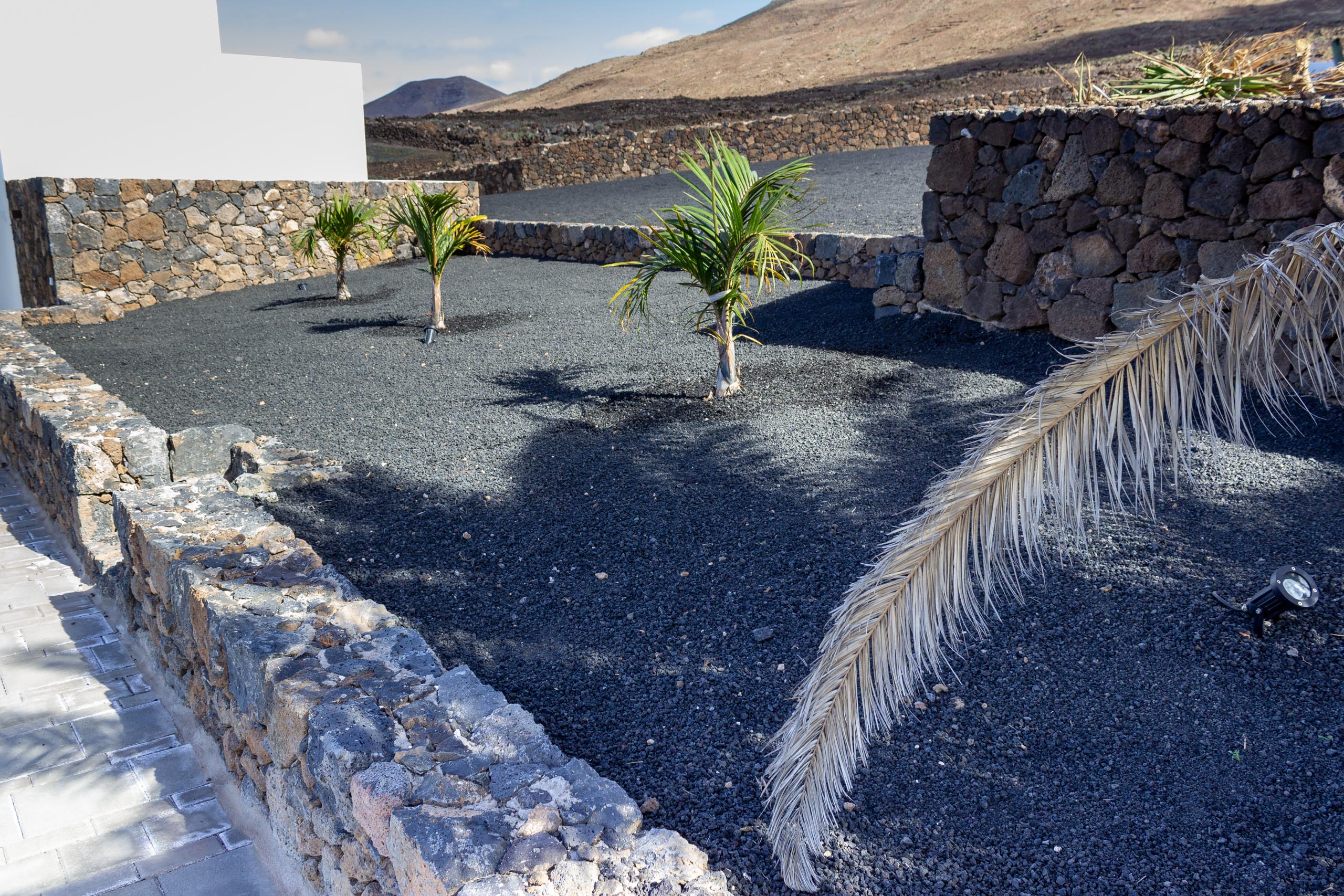 2022 12 LasBrenas 1 de diciembre el jardín 007 1