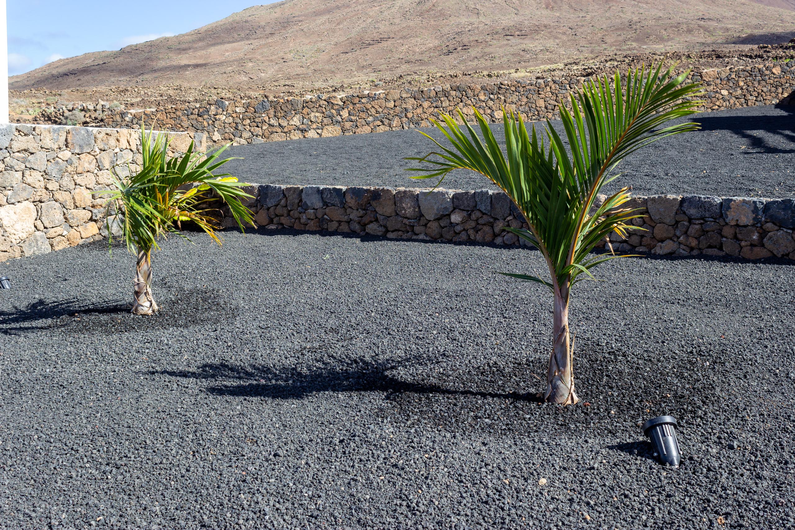 2022 12 LasBrenas 1 de diciembre el jardín 009 1
