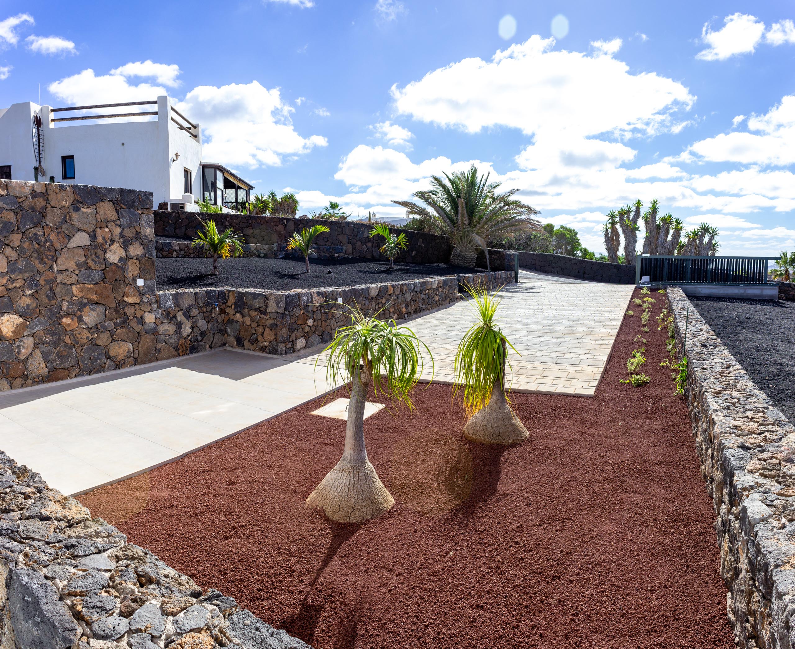2022 12 LasBrenas 1 de diciembre el jardín 018 1