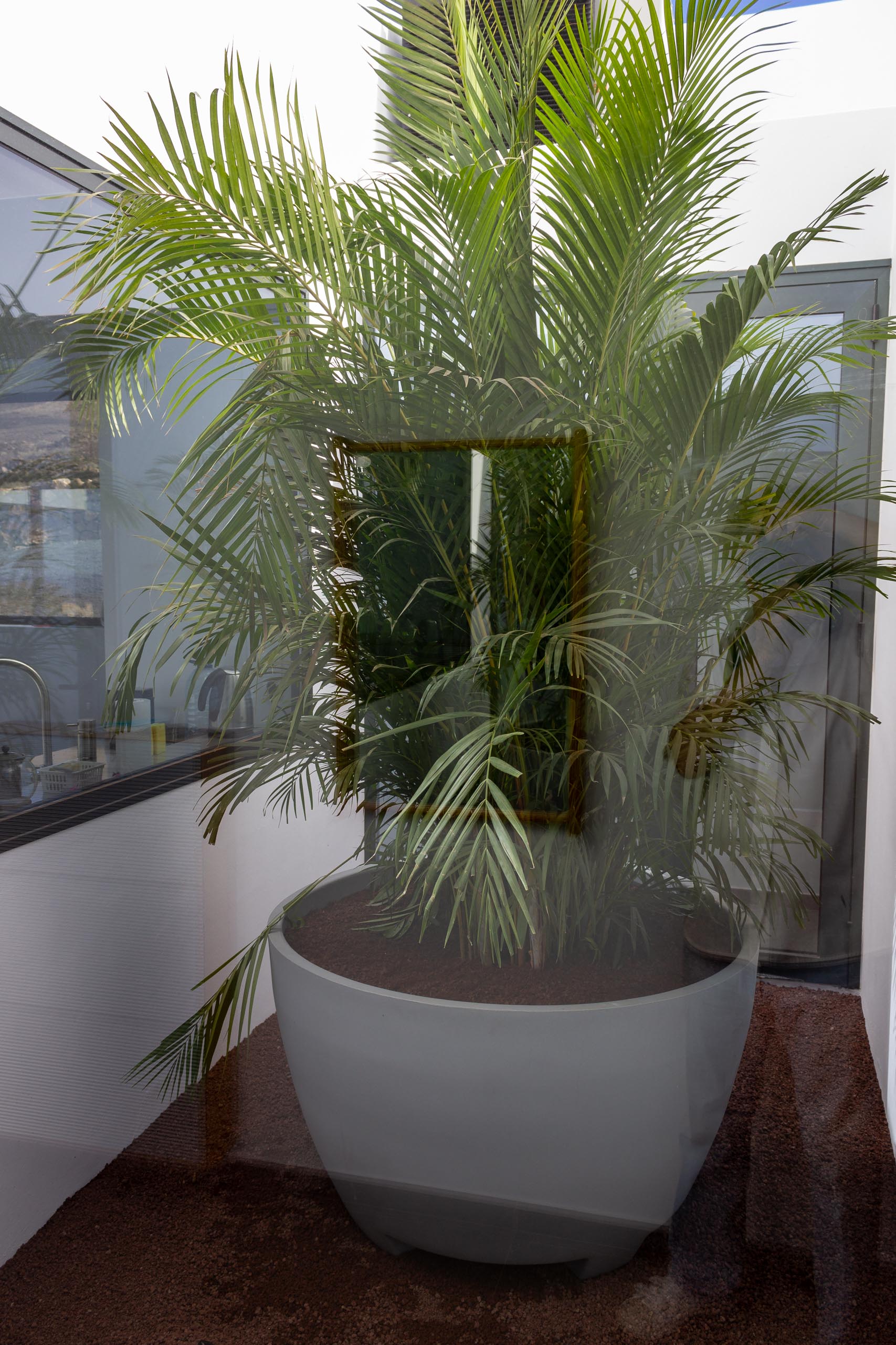 2022 12 LasBrenas 1 de diciembre el jardín 019 1