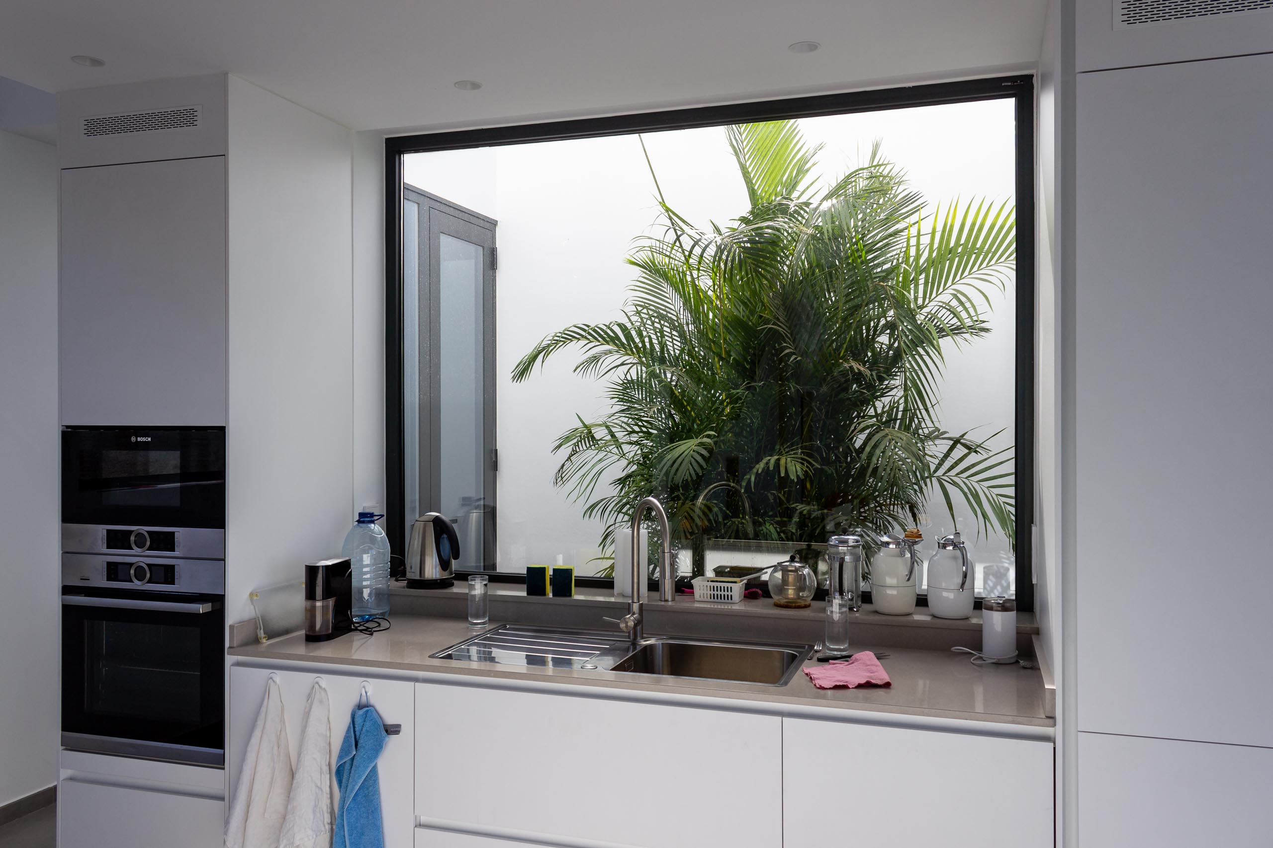 2022 12 LasBrenas 1 de diciembre el jardín 020 1