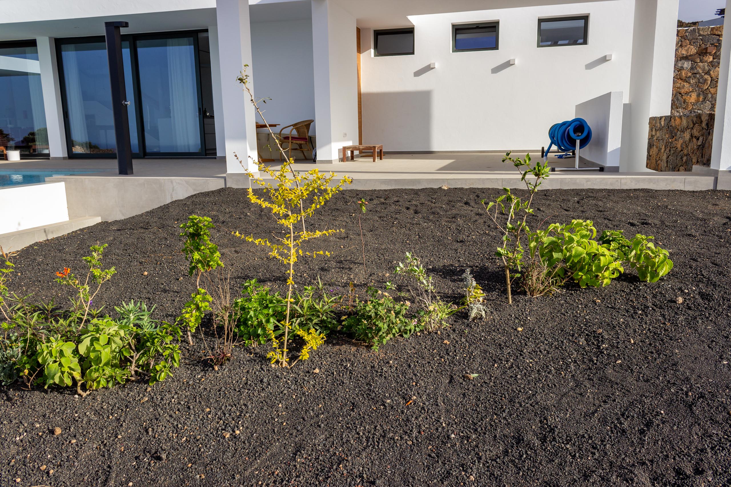 2022 12 LasBrenas 2. Dezember der Garten 009
