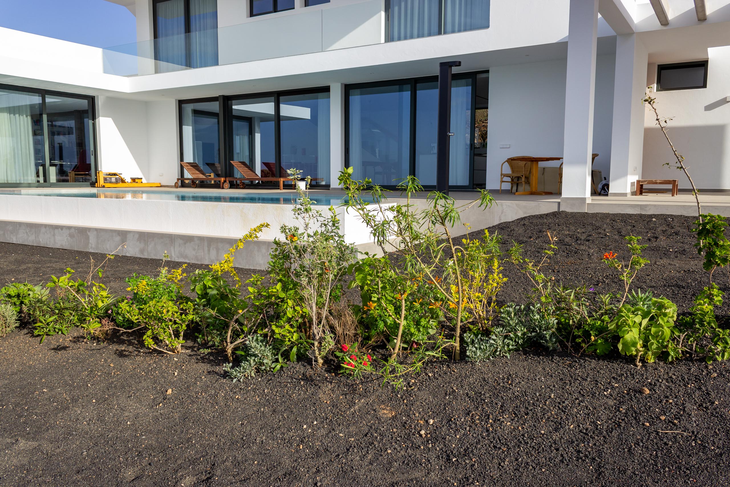 2022 12 LasBrenas 2. Dezember der Garten 010