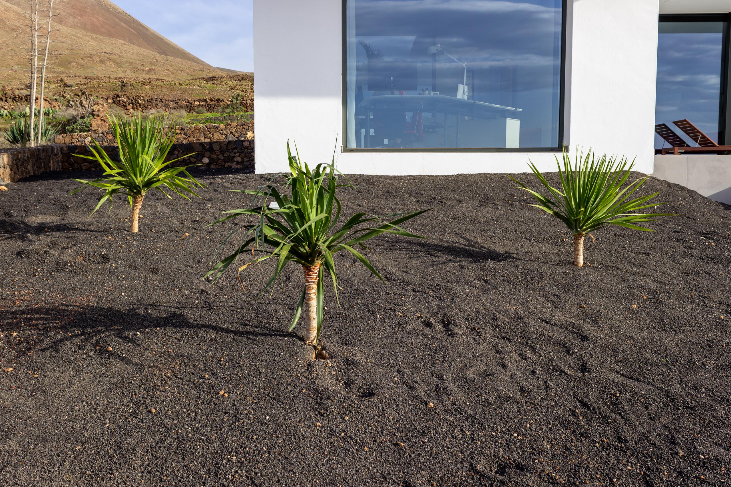 2022 12 LasBrenas 2. Dezember der Garten 021