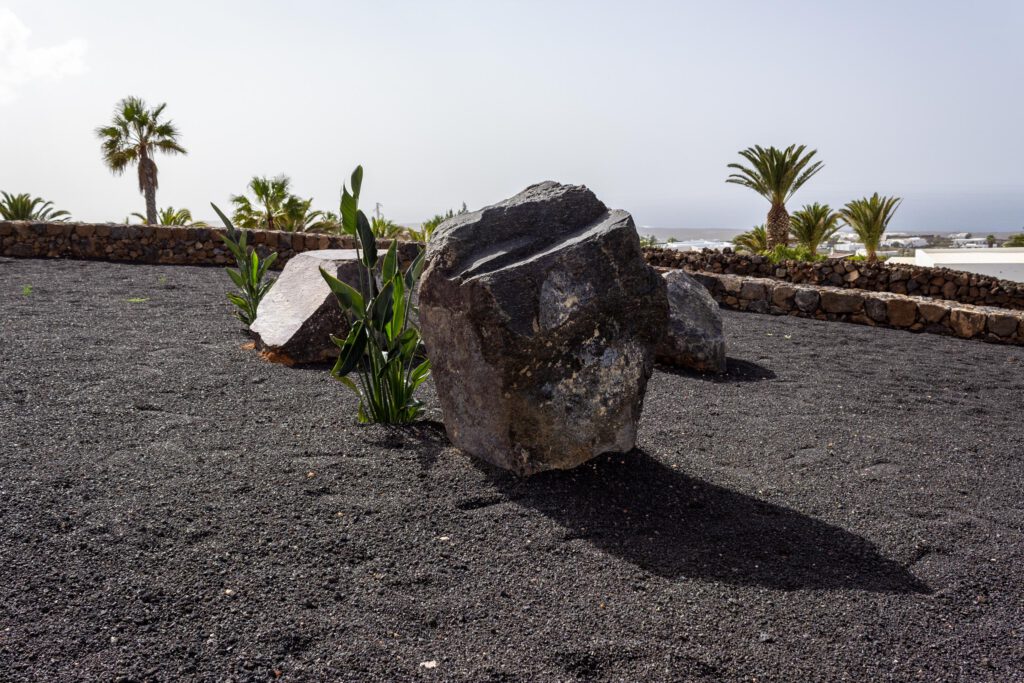 2023 02 LasBrenas 1. Februar der Garten 001