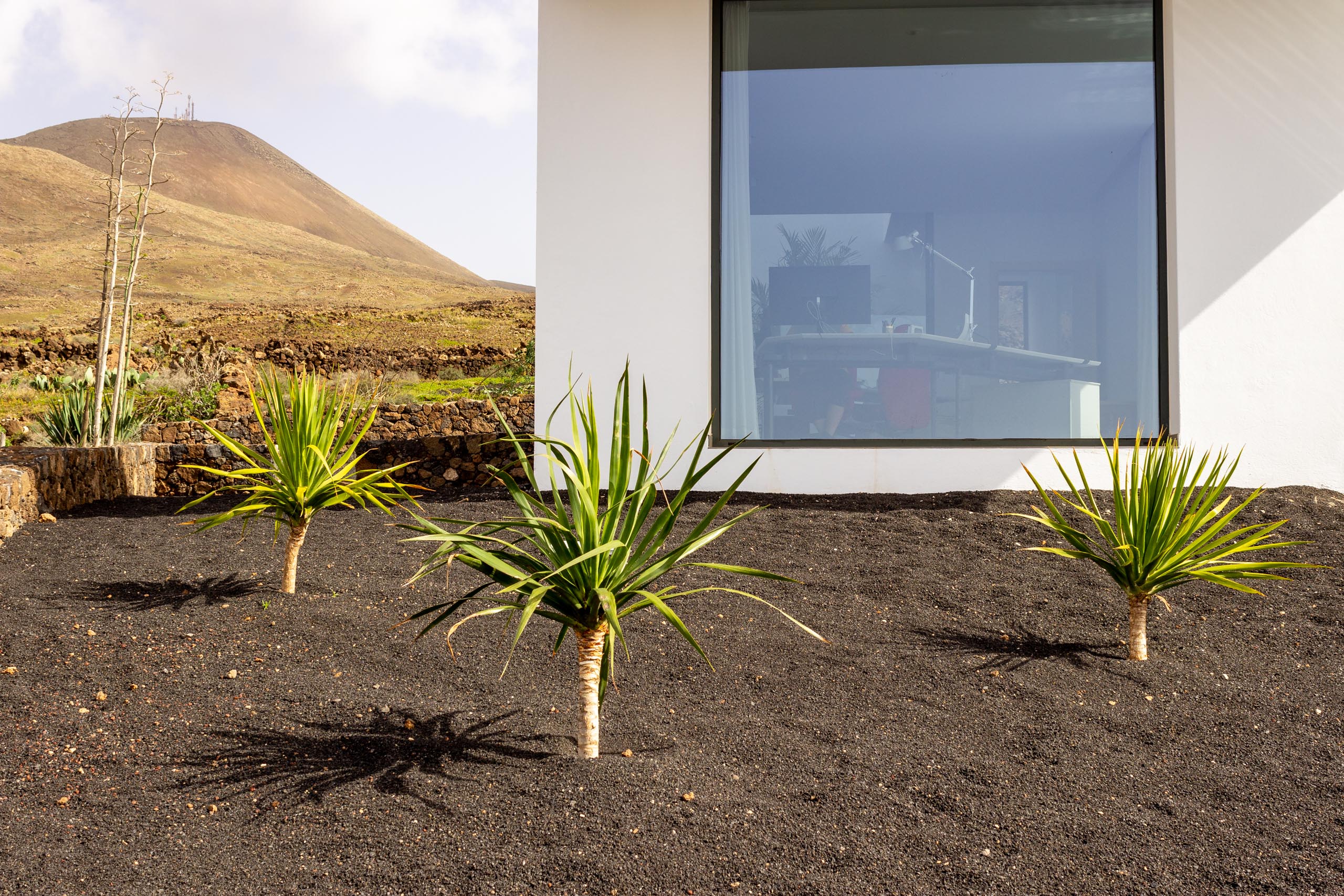 2023 02 LasBrenas 1. Februar der Garten 011