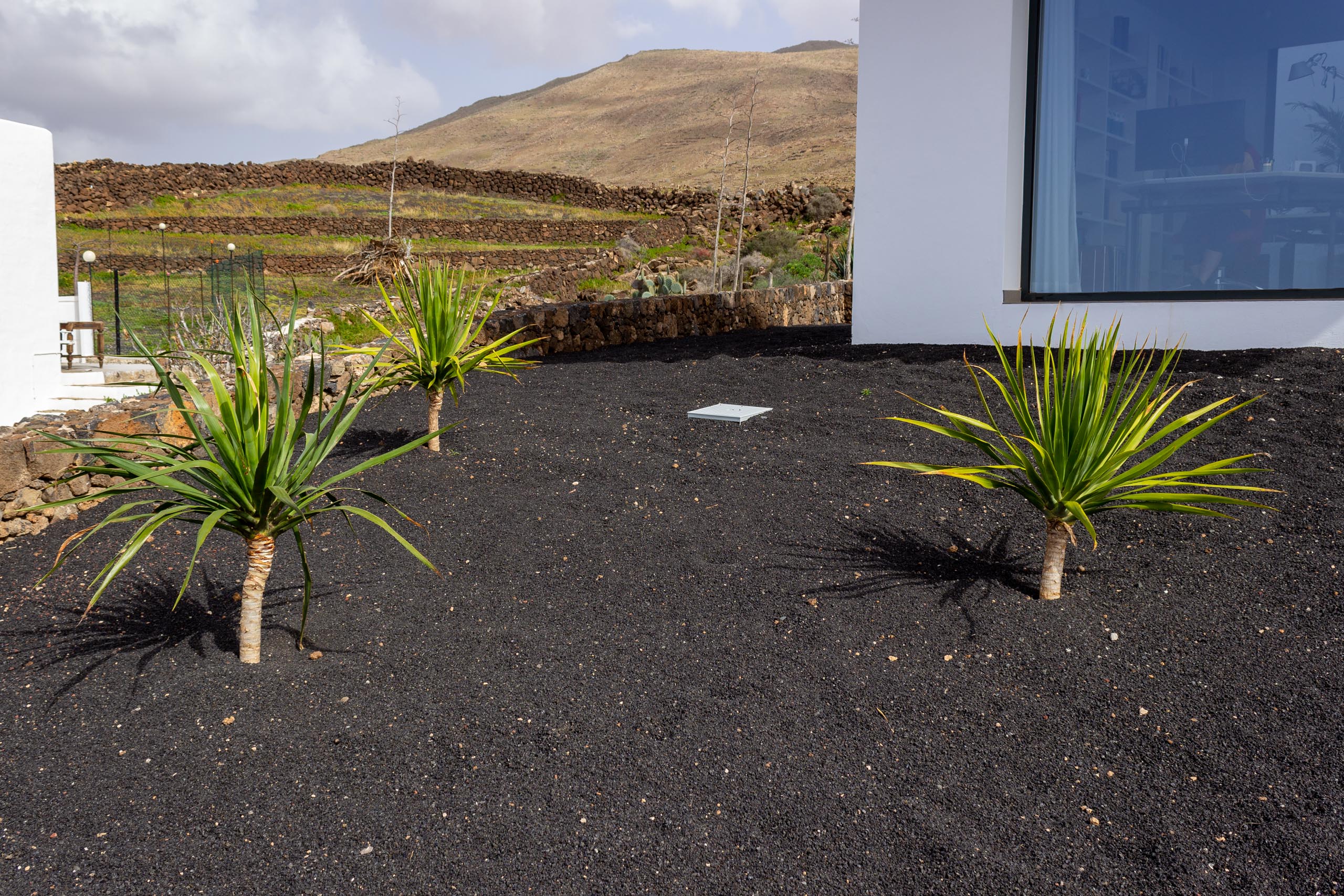2023 02 LasBrenas 1. Februar der Garten 012