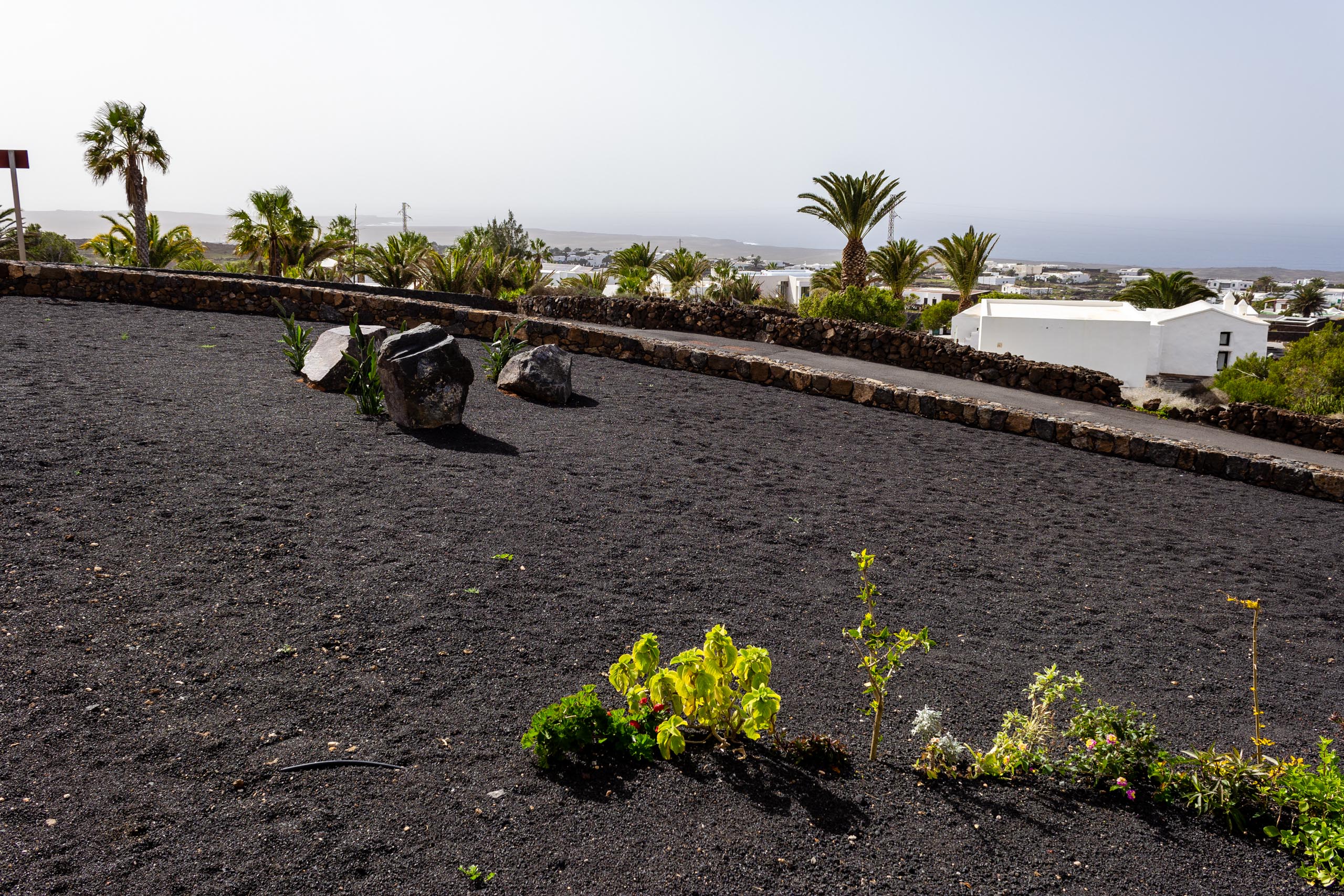 2023 02 LasBrenas 1. Februar der Garten 054