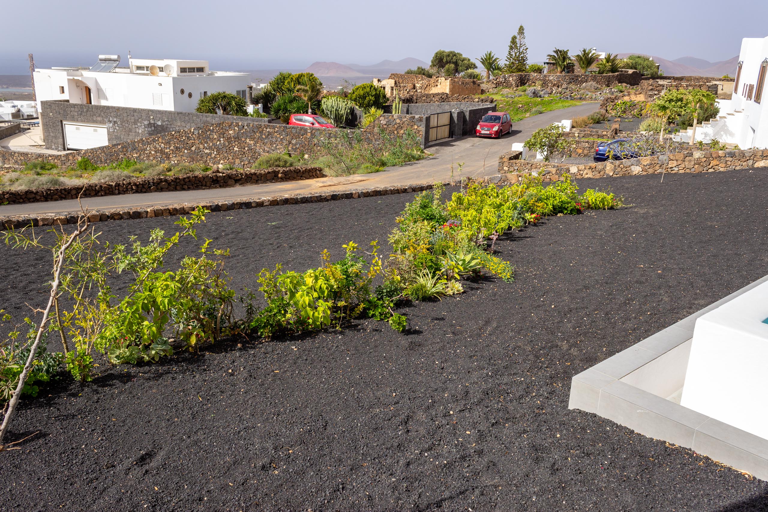 2023 02 LasBrenas 1. Februar der Garten 055