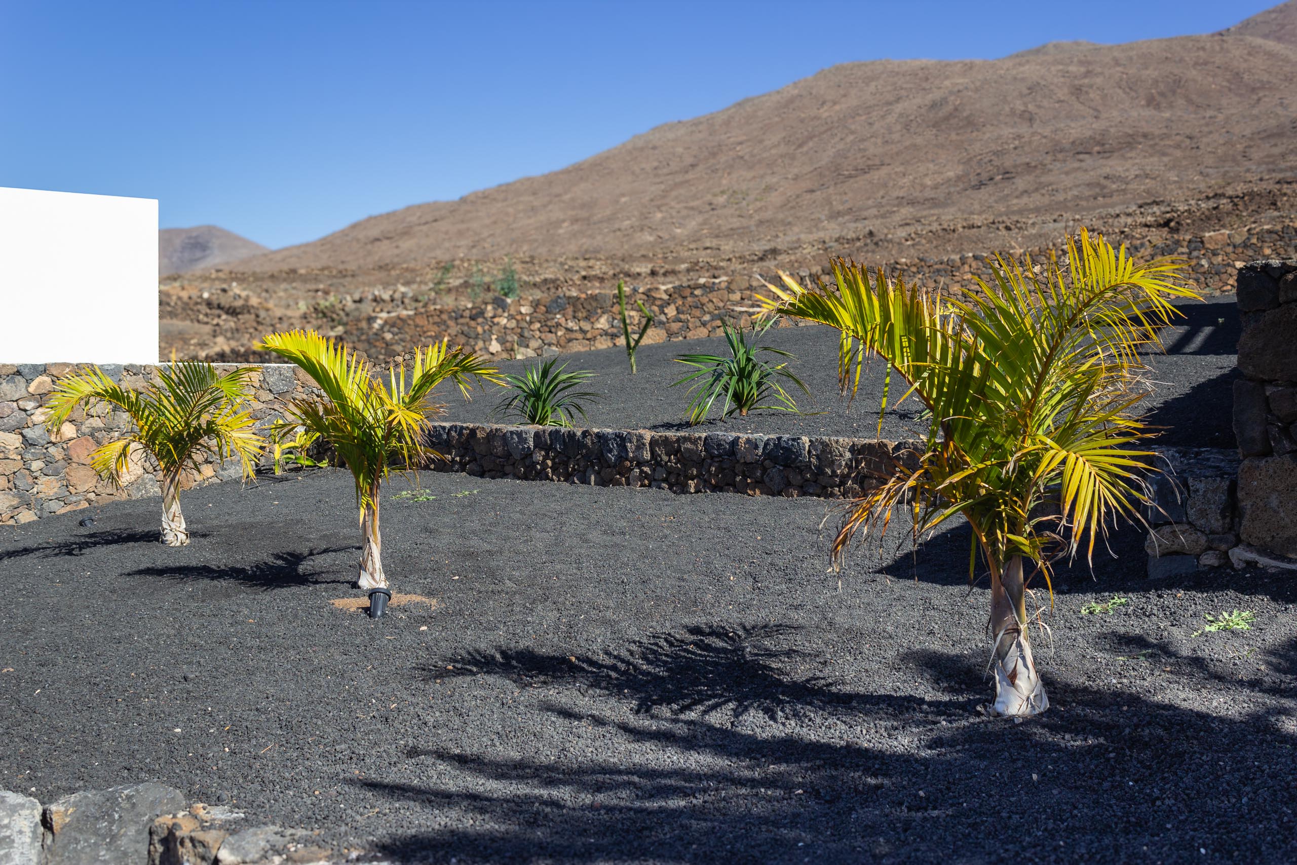 2023 11 LasBreñas 1. November der Eingang 012