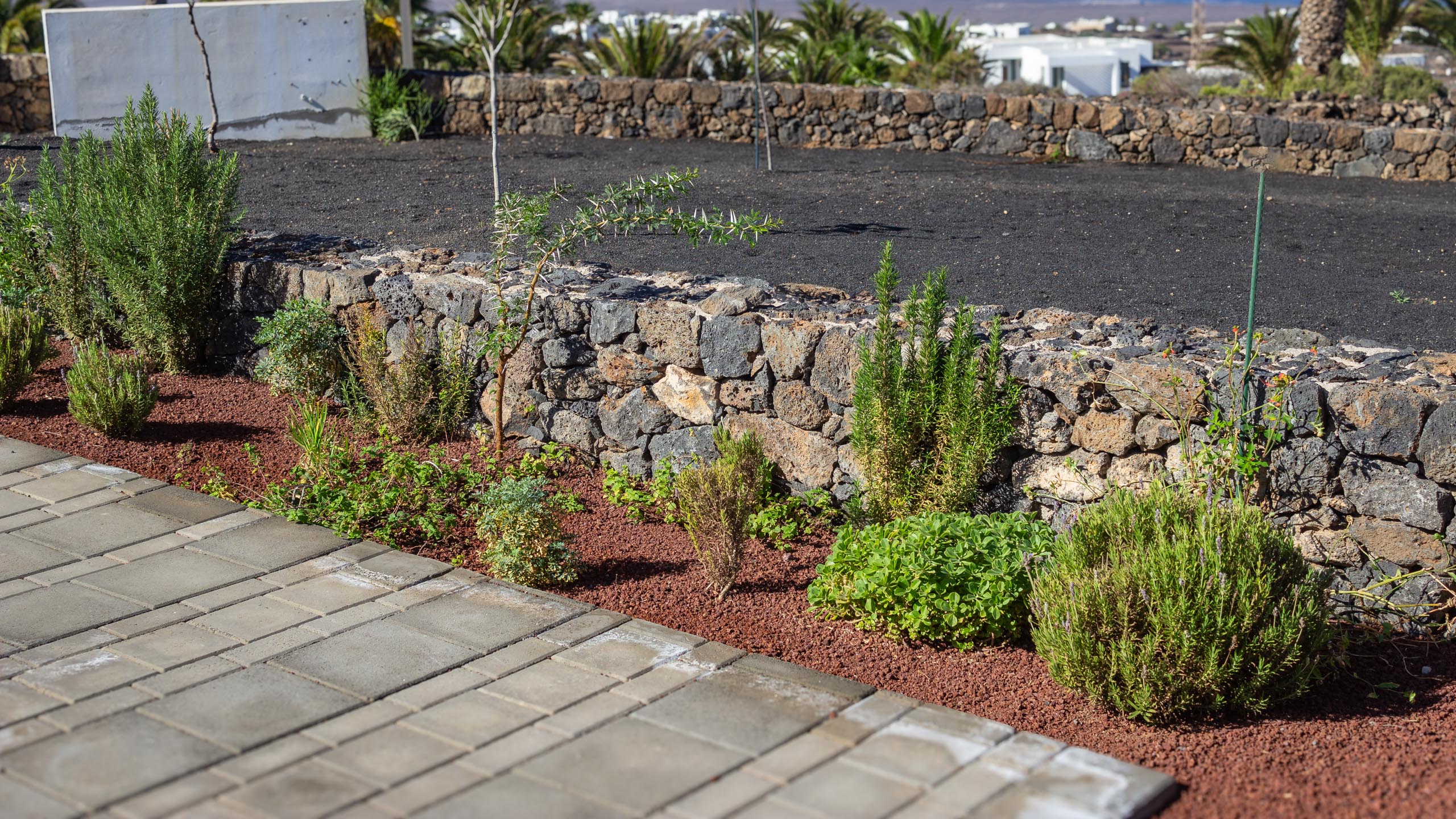 2023 11 LasBreñas 1. November der Eingang 013