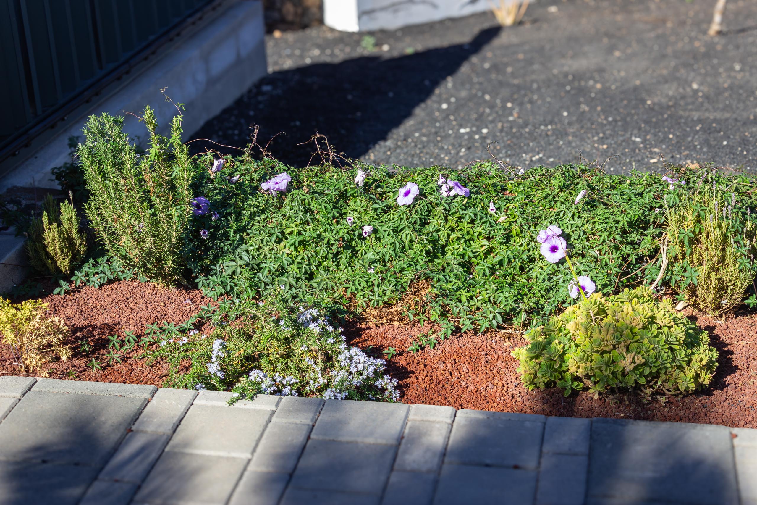 2023 11 LasBreñas 1. November der Eingang 015