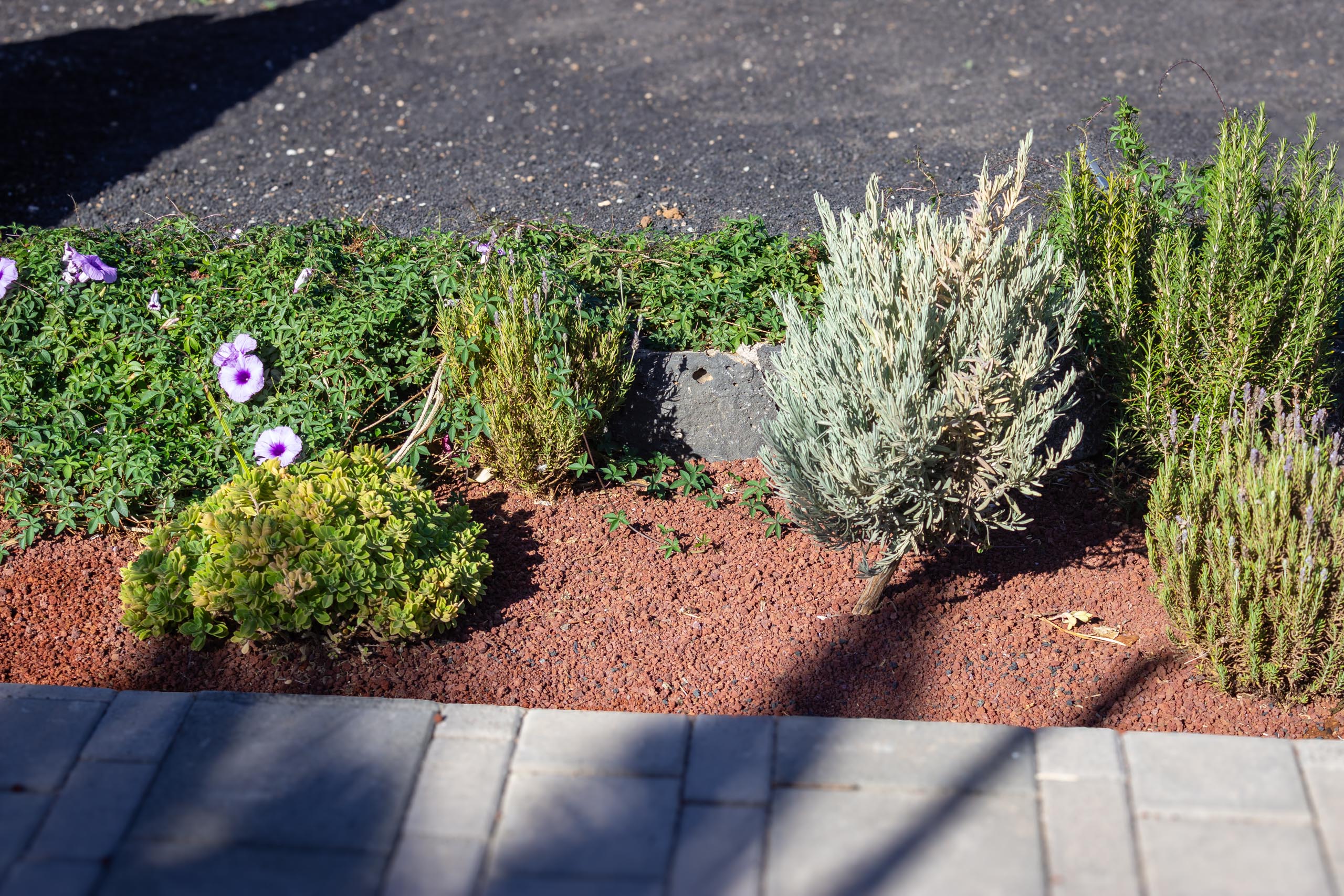 2023 11 LasBreñas 1. November der Eingang 016