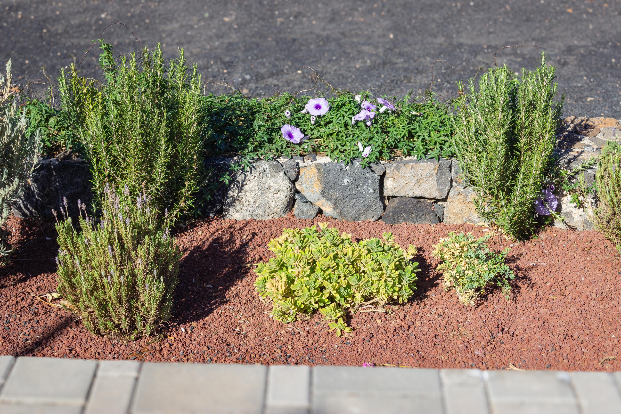 2023 11 LasBreñas 1. November der Eingang 017