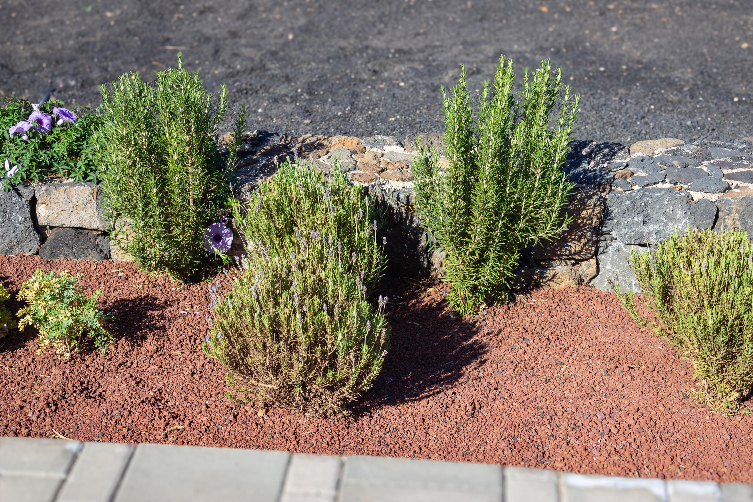 2023 11 LasBreñas 1. November der Eingang 018