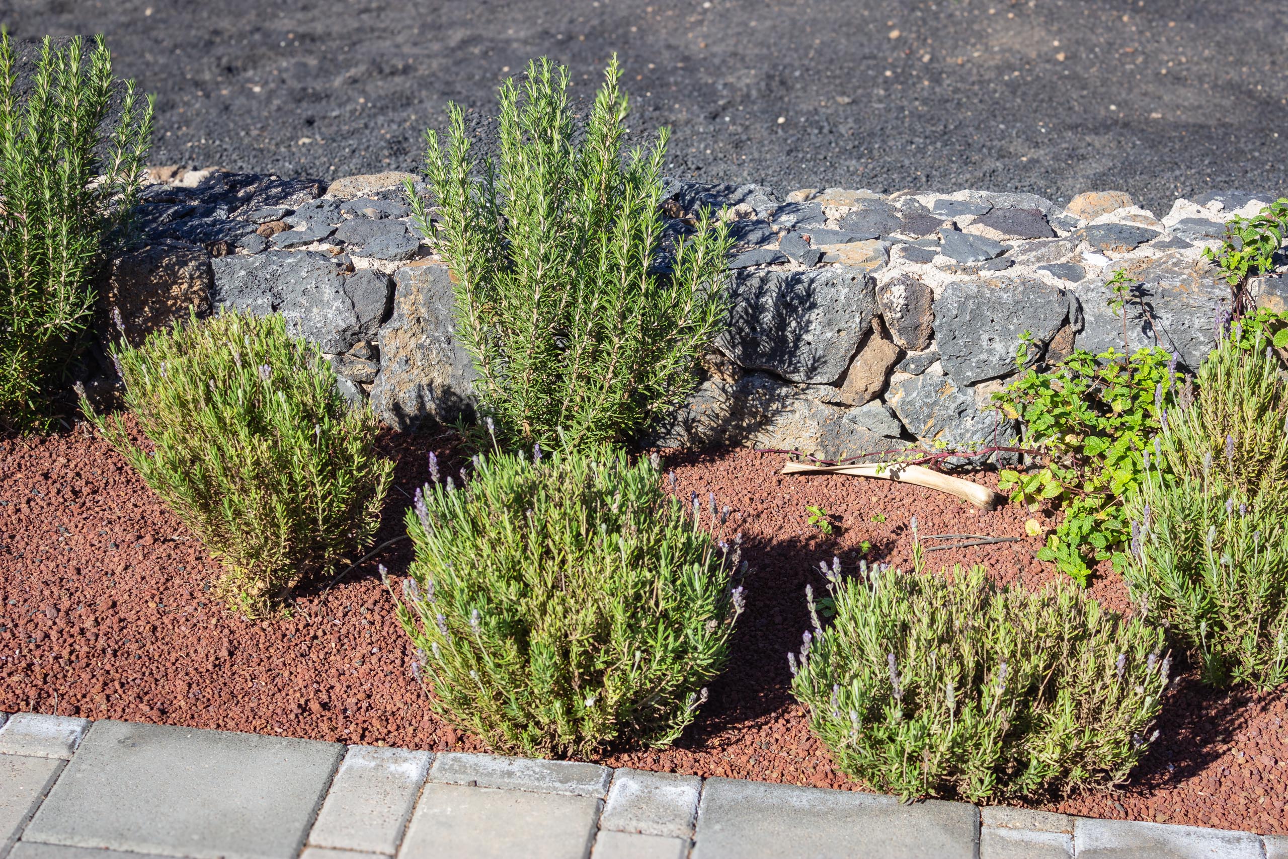 2023 11 LasBreñas 1. November der Eingang 019