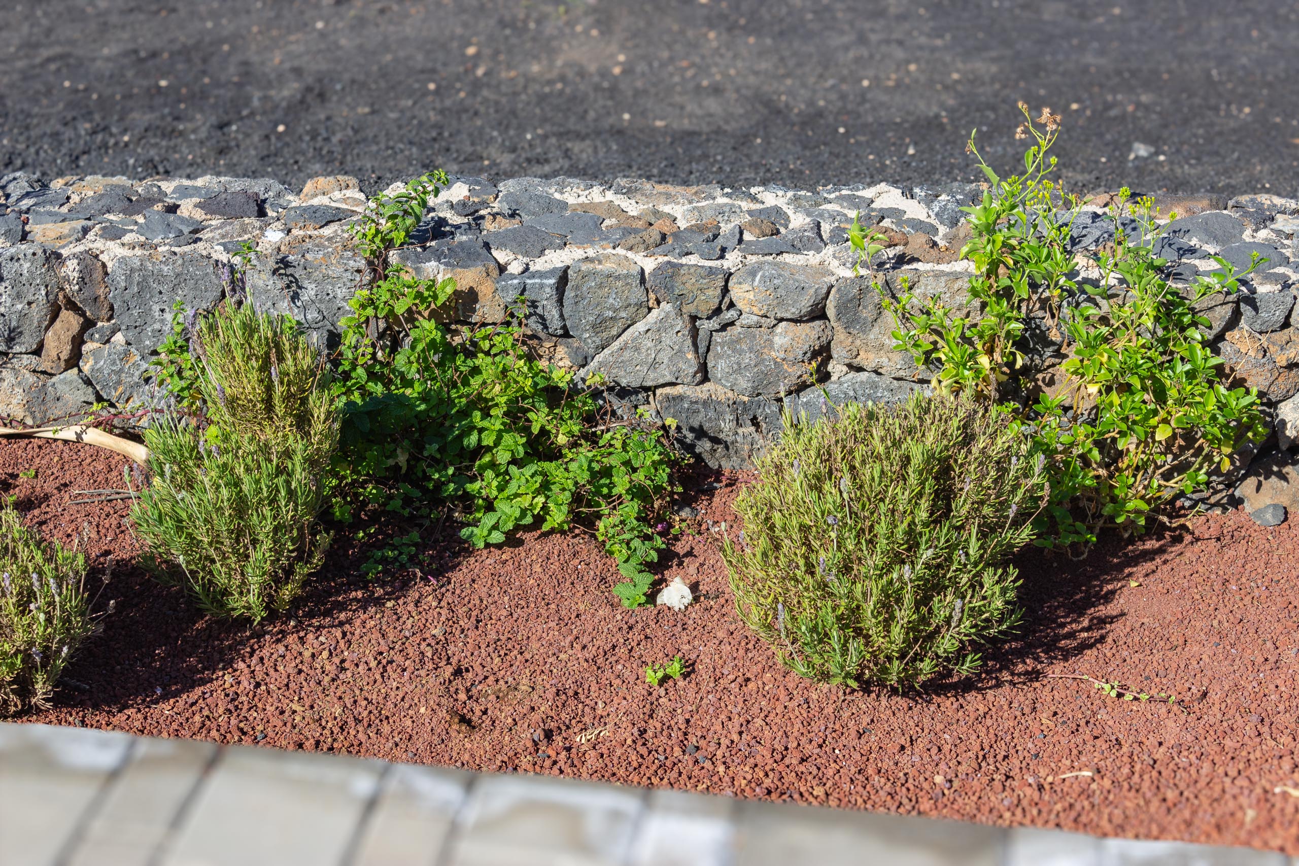 2023 11 LasBreñas 1. November der Eingang 020