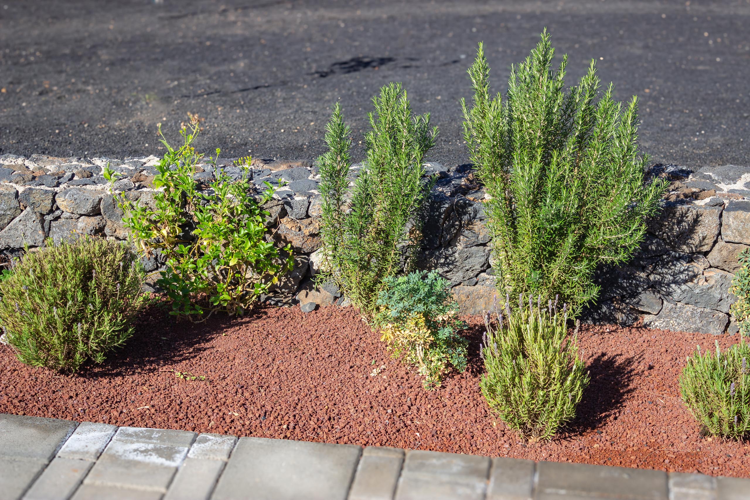 2023 11 LasBreñas 1. November der Eingang 021