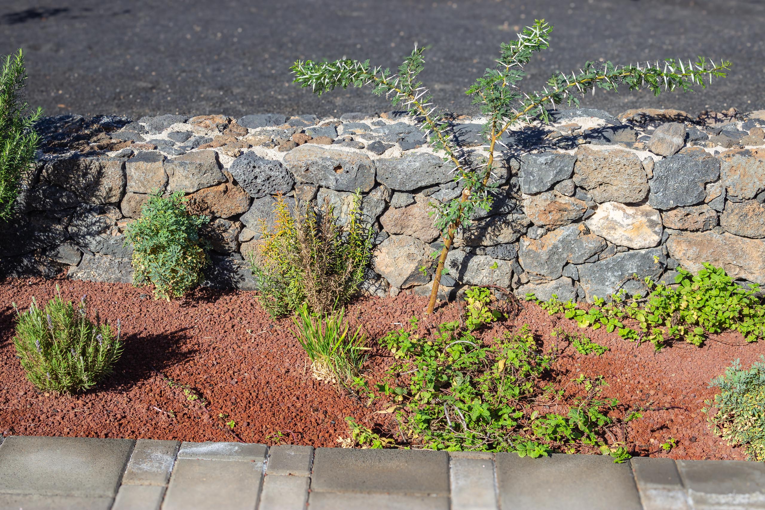 2023 11 LasBreñas 1. November der Eingang 022