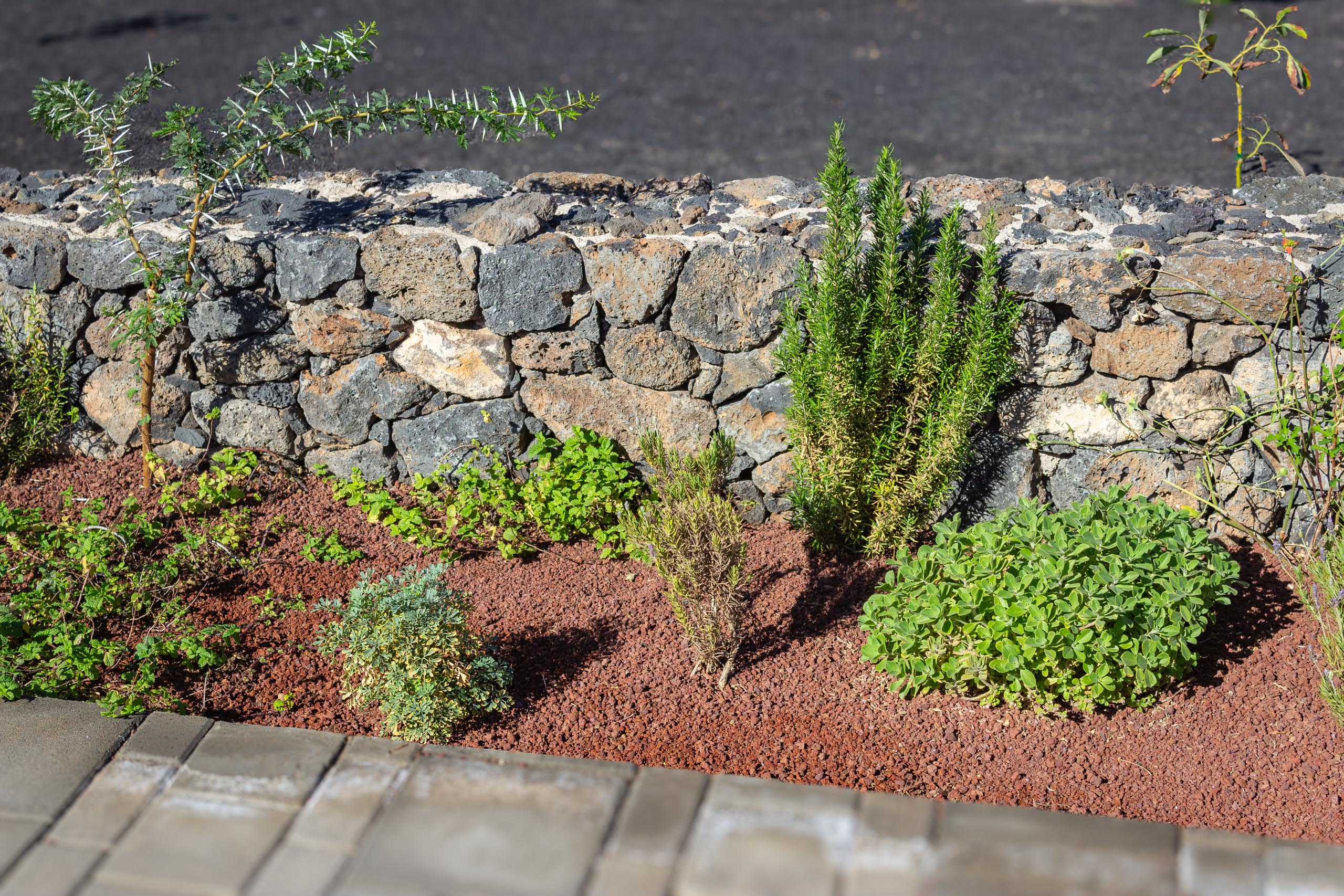 2023 11 LasBreñas 1. November der Eingang 023