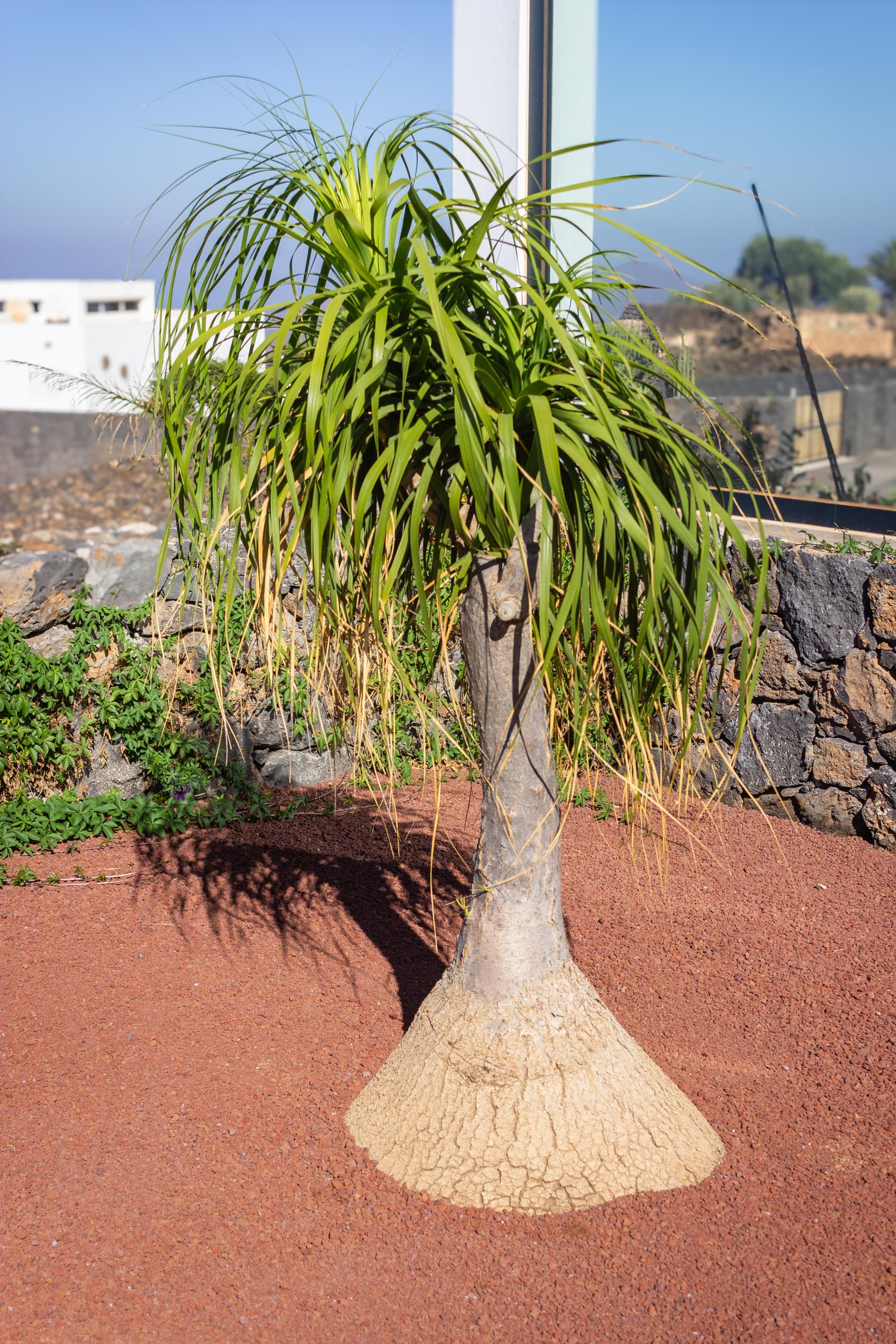 2023 11 LasBreñas 1. November der Eingang 026