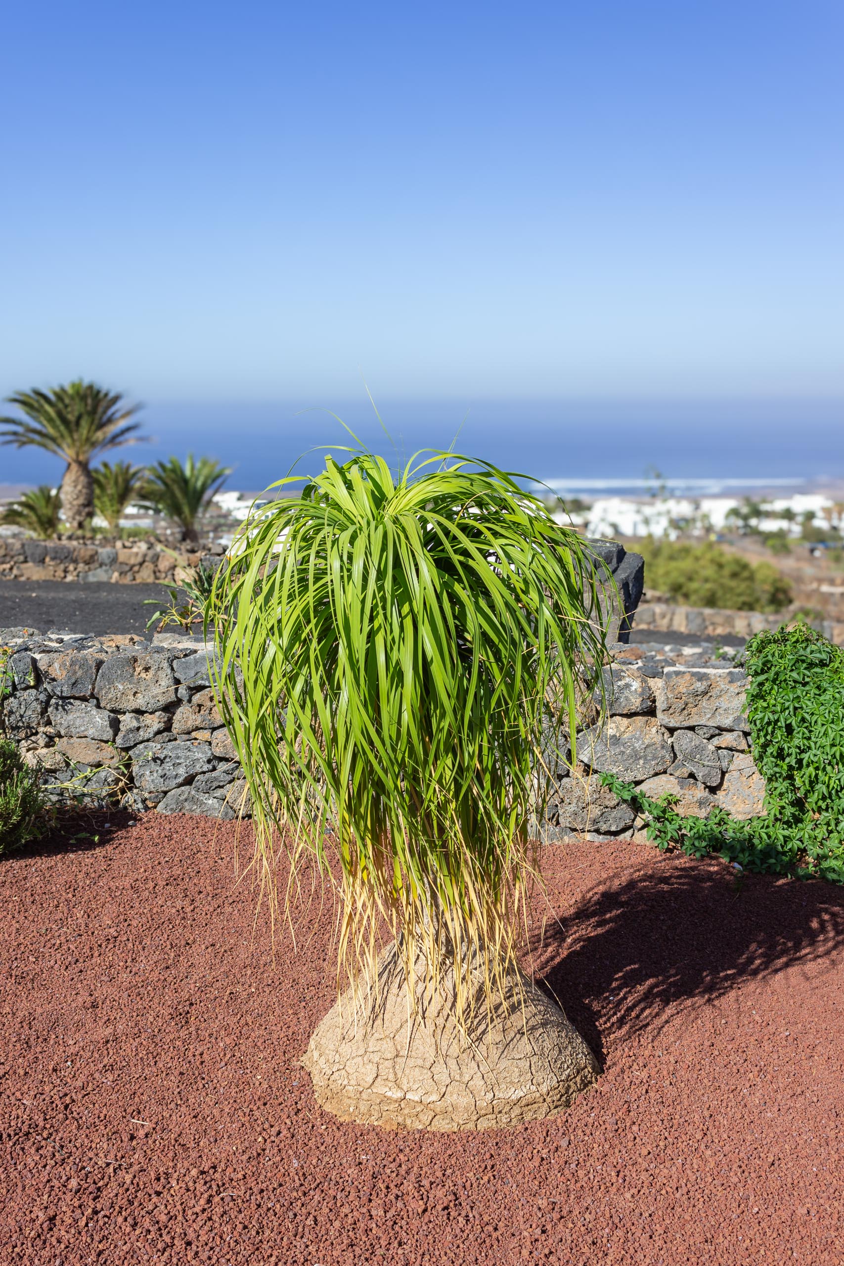 2023 11 LasBreñas 1. November der Eingang 027