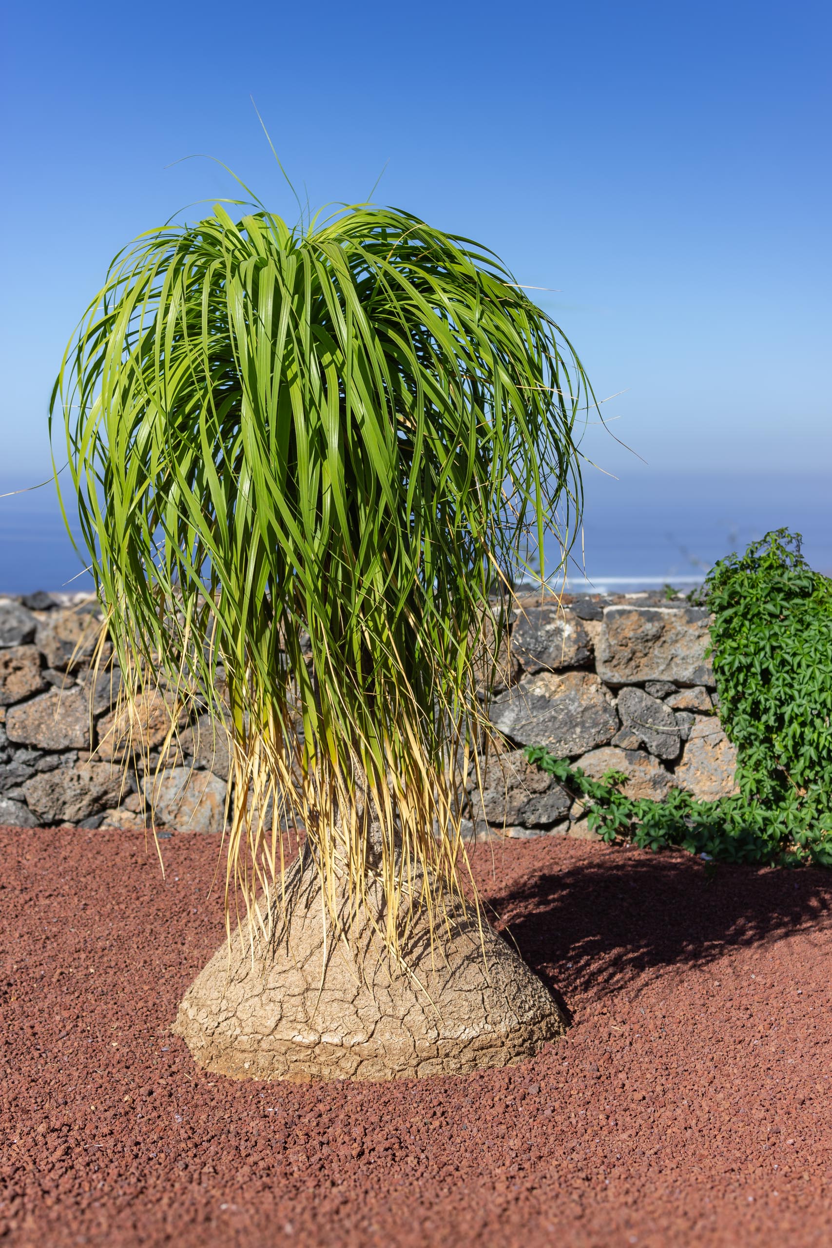 2023 11 LasBreñas 1. November der Eingang 028