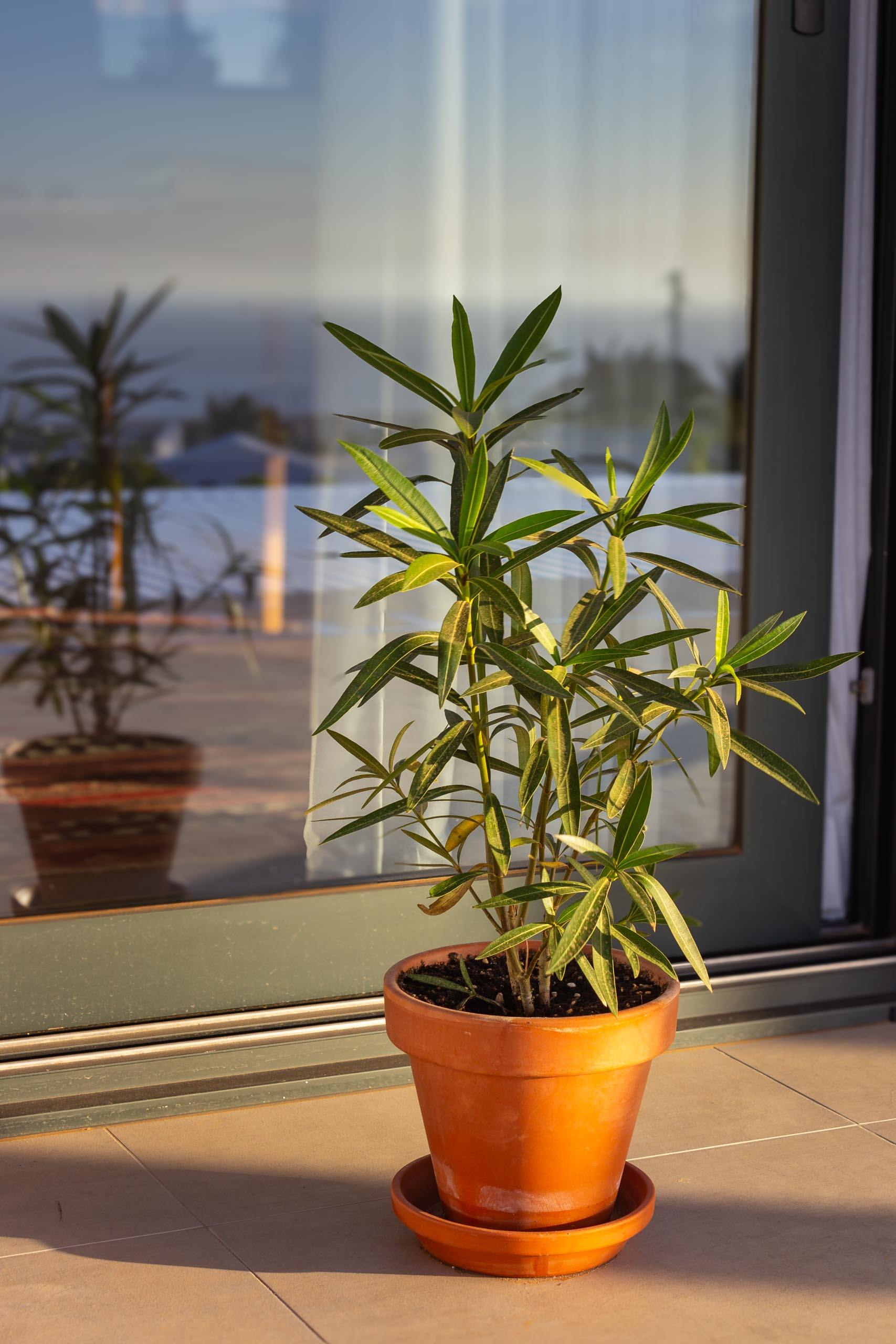 2023 11 LasBreñas 1. November die Terrasse 008