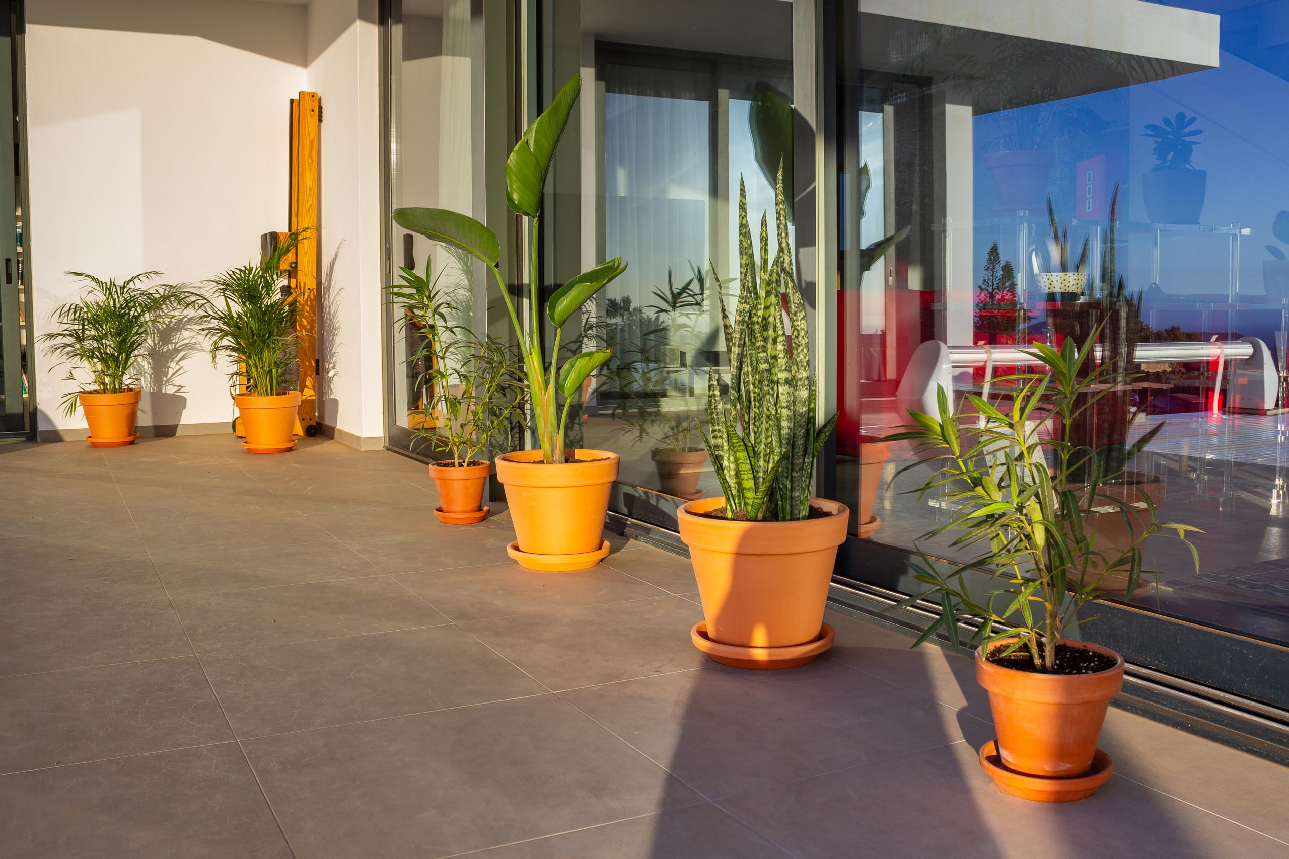 2023 11 LasBreñas 1. November die Terrasse 011