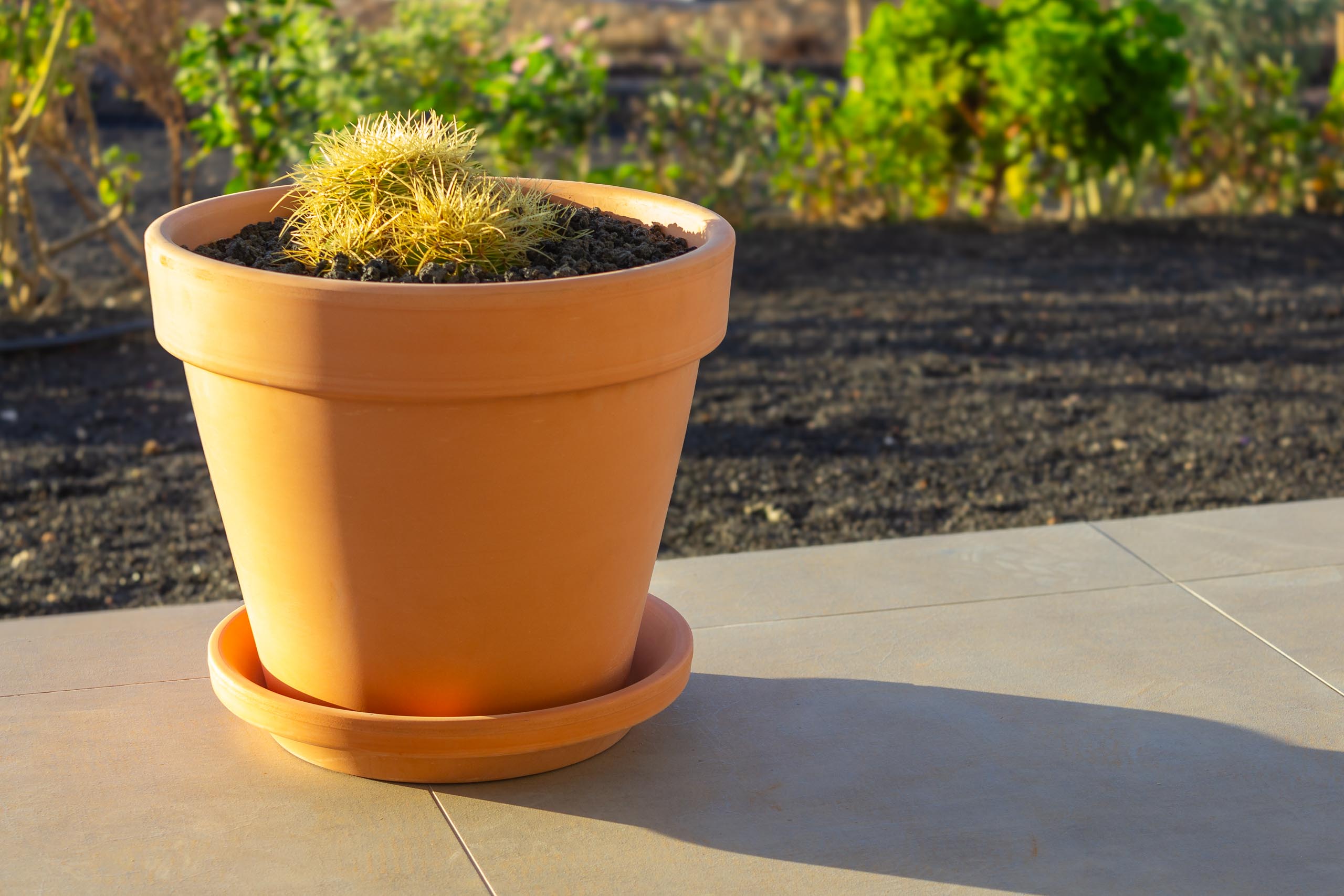 2023 11 LasBreñas 1. November die Terrasse 013