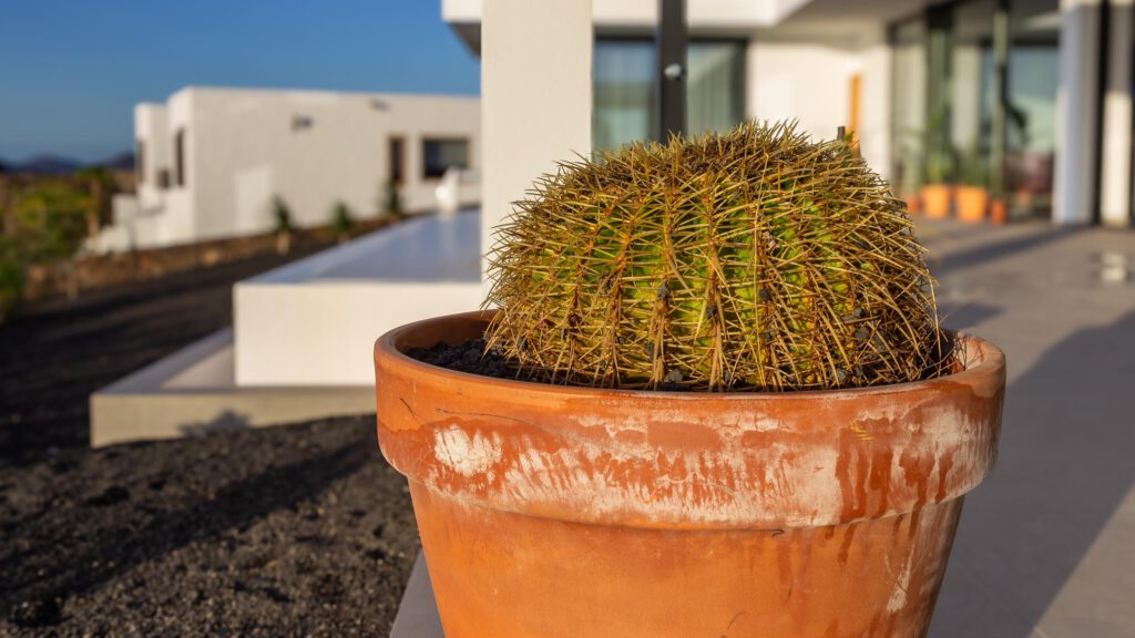 2023 11 LasBreñas 1. November die Terrasse 019