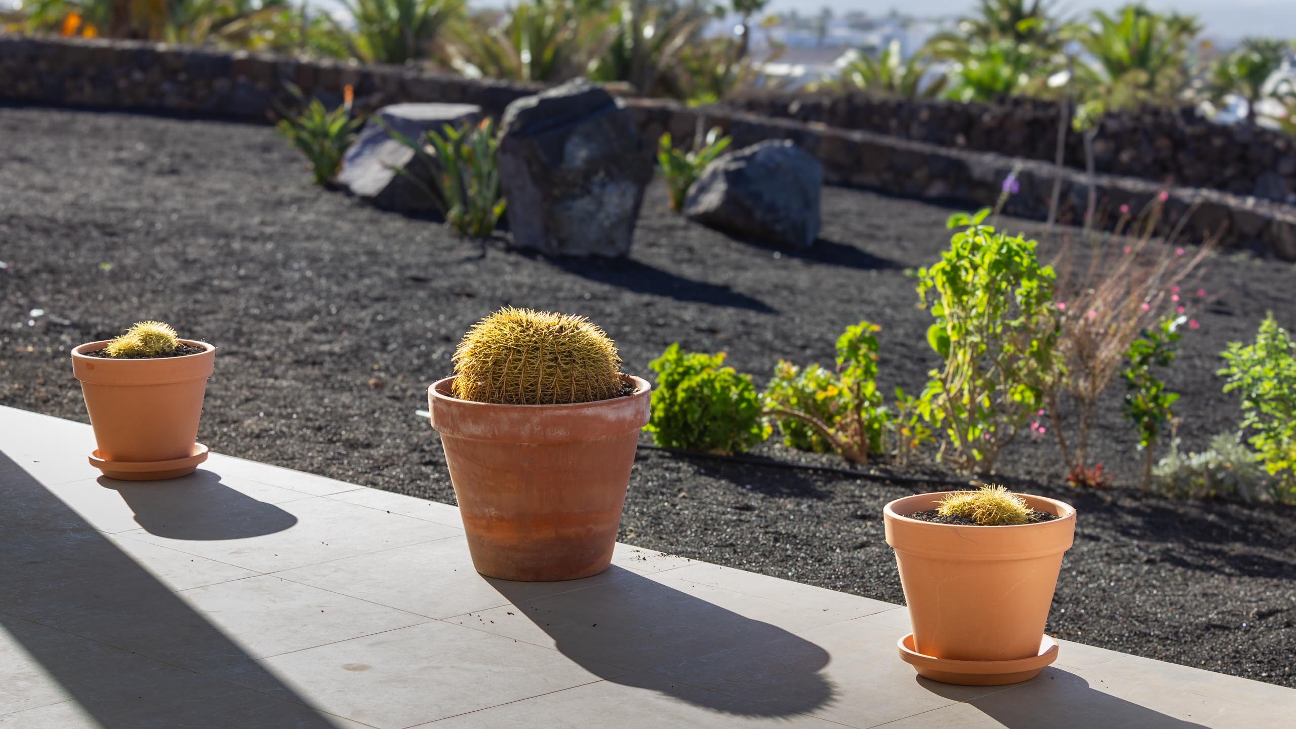 2023 11 LasBreñas 1. November die Terrasse 020