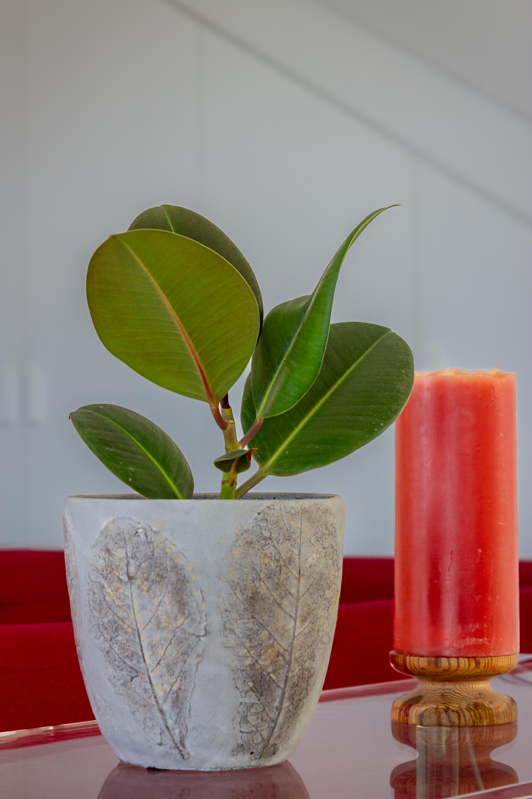 2023 12 LasBreñas 1. Dezember Haus bepflanzt das Erdgeschoss 010