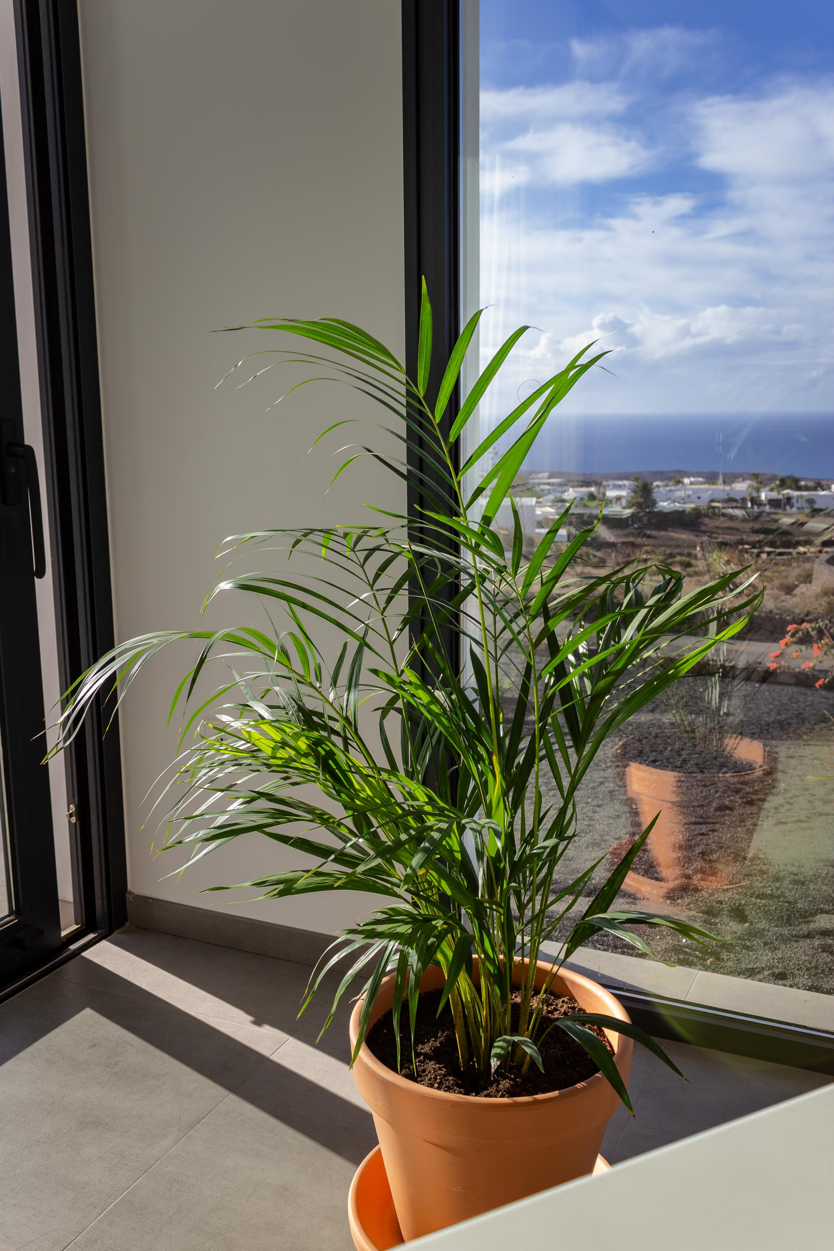 2023 12 LasBreñas 1. Dezember Haus bepflanzt das Erdgeschoss 013