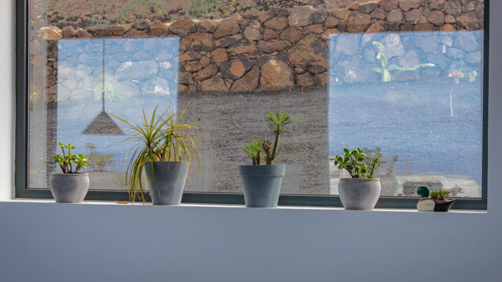 2023 12 LasBreñas 1. Dezember Zimmer bepflanzt die Fensterbänke 001